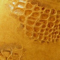 Embossed Crocodile Tan