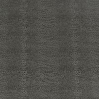 Grey Lizard