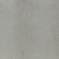 Light Grey Shagreen