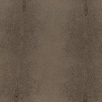 Light Brown Shagreen