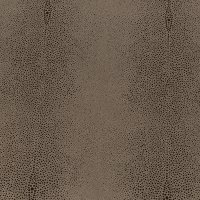 Light Brown Shagreen