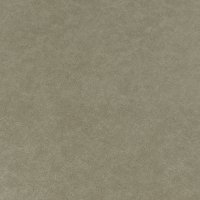 Beige Vintage Effect