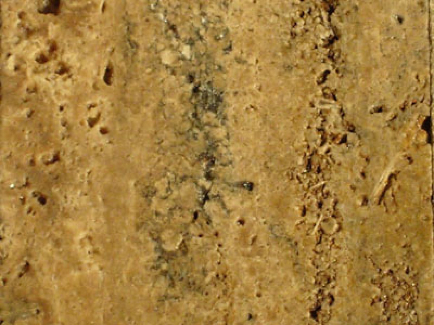 Unfilled/Unpolished Walnut Travertine